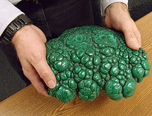 cerebro-verde