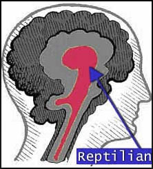 cérebro reptiliano
