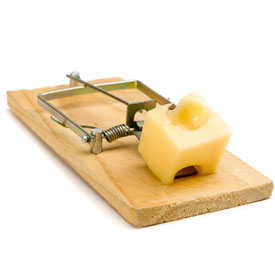 Ratoeira com queijo em cima