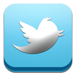 twitter icone