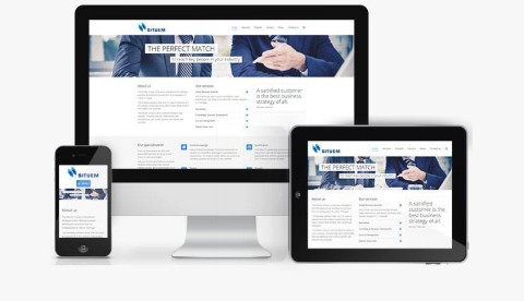 situem website